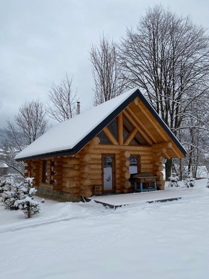 Chalet Pidstromom Mykulychyn Extérieur photo