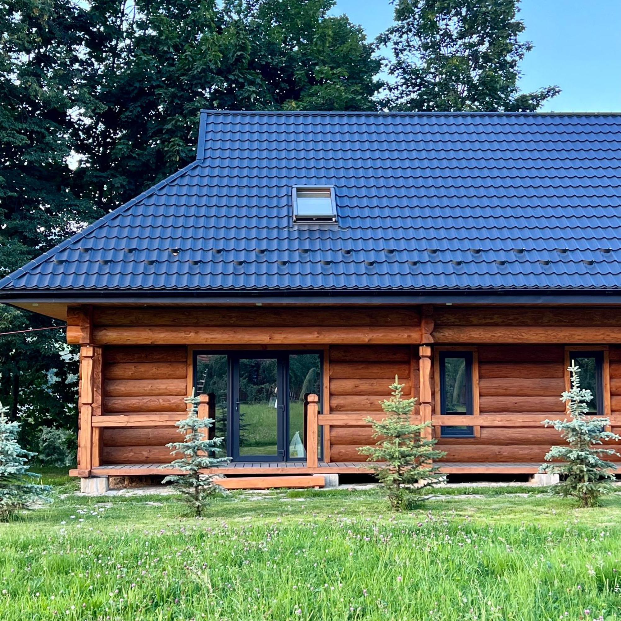 Chalet Pidstromom Mykulychyn Extérieur photo