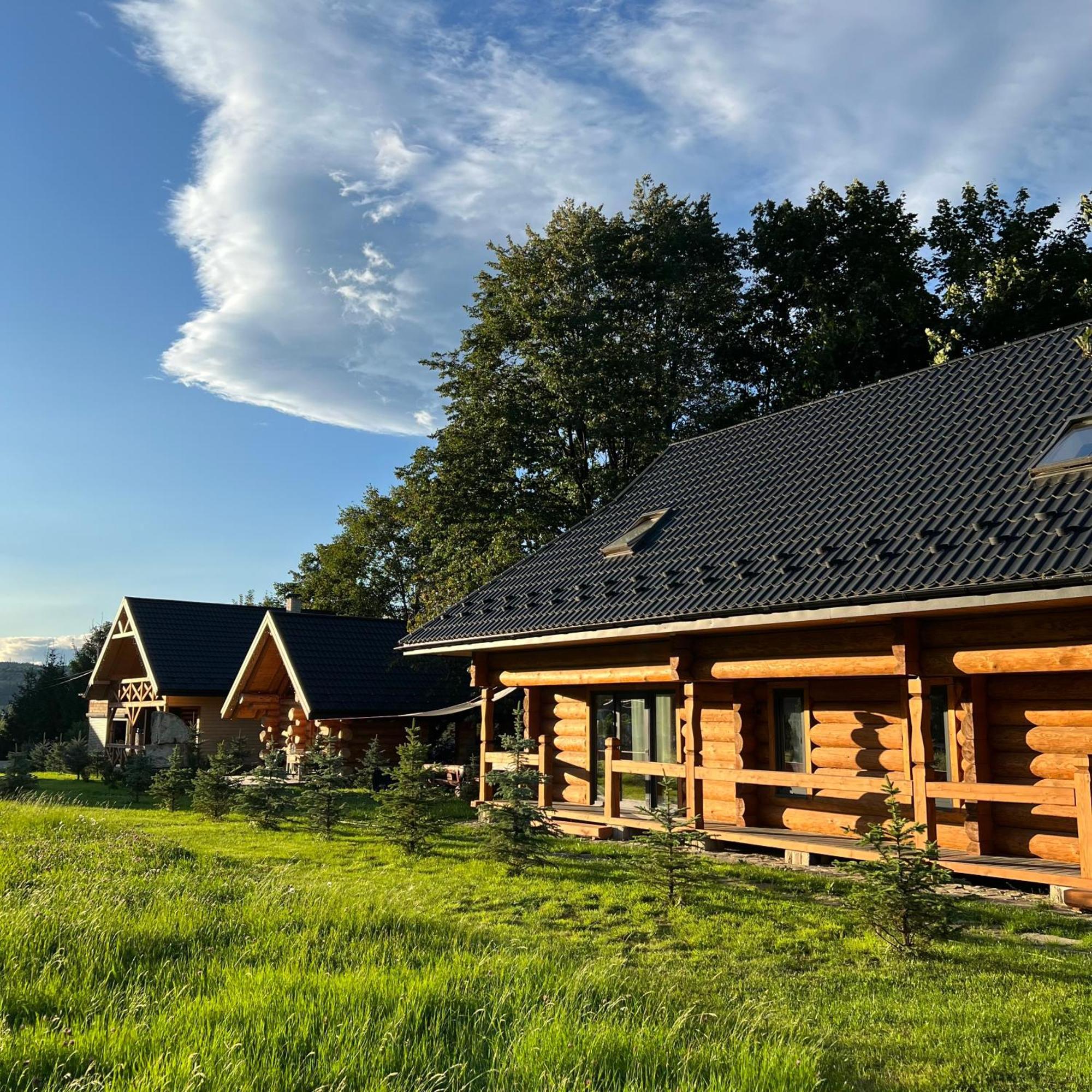 Chalet Pidstromom Mykulychyn Extérieur photo